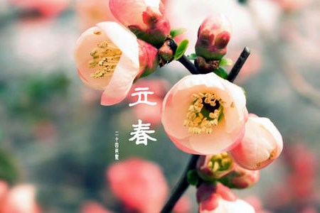 立春之说立春是几月几号2021年