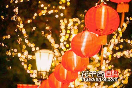 绚烂的花火洒满世界